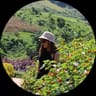 Hảo Hàn